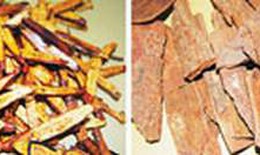 Chữa loạn nhịp tim theo cổ truyền  