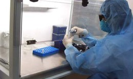 Khả năng đột biến của virus cúm A/H1N1