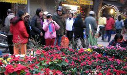 Chợ hoa đào Hà Nội: Tuổi năm trăm