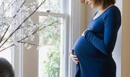Nhiễm khuẩn tiết niệu khi mang thai