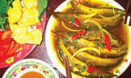 M&#243;n ăn thuốc bổ dưỡng trong m&#249;a h&#232;