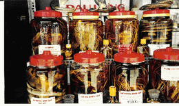 Rượu thuốc bổ dương cường tinh