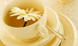 Trẻ uống trà hoa cúc thường xuyên được không? 