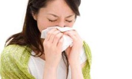 Mắc bệnh để... phòng vệ và tiến hóa