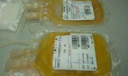 Lần đầu tiên truyền thành công hồng cầu từ tế bào gốc