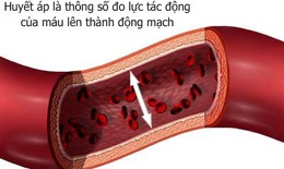 Dinh dưỡng kiểm soát huyết áp