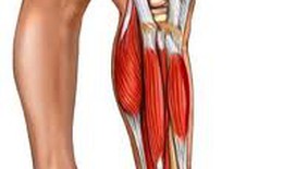 Phương pháp chữa viêm đa cơ hiệu quả