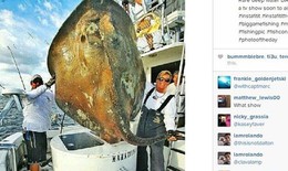 Bắt được cá "quái vật” nặng 362 kg