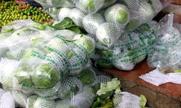 Nghi tử vong sau khi ăn bắp cải trái mùa