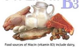 Vitamin B3 tăng hệ miễn dịch tiêu diệt siêu khuẩn