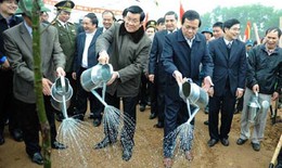 Chủ tịch nước phát động Tết trồng cây năm 2013