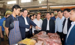 Phó Thủ tướng Vương Đình Huệ khảo sát thị trường Tết tại Nghệ An