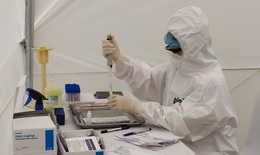 Hà Nội yêu cầu lấy mẫu xét nghiệm virus SARS-CoV-2 đối với chuyên gia nhập cảnh