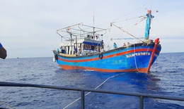 Cứu thành công tàu cá và 15 thuyền viên bị nạn.