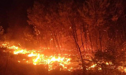 Cháy rừng liên huyện lớn nhất ở Nghệ An từ trước đến nay
