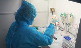 Hà Nam ghi nhận thêm 2 ca dương tính với SARS-CoV-2 ở xã Đạo Lý, Lý Nhân
