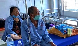 5 người trong gia đình nhập viện do ăn nấm
