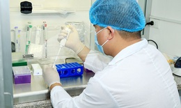 Hà Nam ghi nhận bé gái 2 tuổi mắc COVID-19