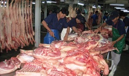 Tìm thấy vi khuẩn Salmonella và tồn dư kháng sinh trong thịt