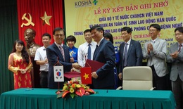 Hợp tác an toàn vệ sinh lao động Việt Nam - Hàn Quốc