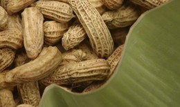 Ăn lạc có lợi cho sức khỏe tim