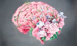 Lòng nhân ái - phương thuốc nhiệm màu cho não bộ