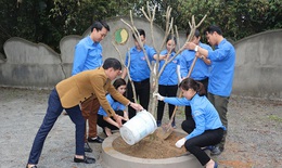Đoàn cơ sở Sở Y tế Hà Tĩnh trồng cây tại Khu di tích văn hóa BV Lam Kiều