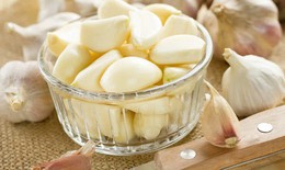 8 liệu pháp trị viêm bàng quang hiệu quả từ thiên nhiên