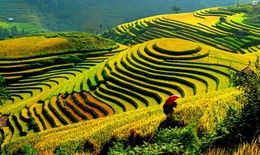 Mù Cang Chải lọt Top 30 điểm đến đẹp nhất thế giới