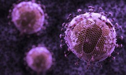 Siêu kháng thể mới diệt 99% HIV
