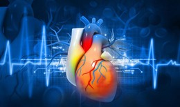 Rối loạn nhịp tim có thể liên quan với tăng nồng độ hormone tuyến giáp