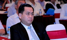 Ông Vũ 'Nhôm' từng được nhắc tên trong kết luận thanh tra như thế nào?