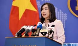 Việt Nam sẽ bảo vệ quyền lợi của công dân bị bắt giữ tại Singapore