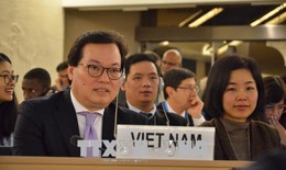 Việt Nam giới thiệu dự thảo nghị quyền về quyền phụ nữ ở khóa họp Liên Hợp Quốc
