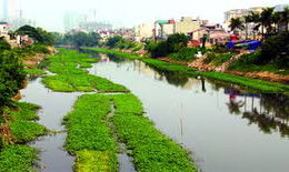 Xử lý ô nhiễm môi trường trên lưu vực sông Nhuệ-sông Đáy, sông Tô Lịch