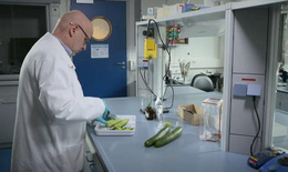EU sử dụng CMR để kiểm tra thuốc trừ sâu trong thực phẩm