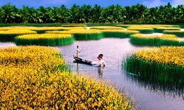 Hợp tác Việt Nam-Vương quốc Bỉ: "Quản lý thiên tai vì sự phát triển bền vững"