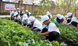 Cải thiện dinh dưỡng giúp hàng triệu trẻ em có một cuộc sống khỏe mạnh