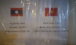 Việt Nam-Lào chung sức, đồng lòng chiến thắng đại dịch COVID-19