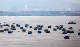 Bão Nisarga mạnh lên khi đổ bộ vào Mumbai