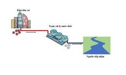 Rủi ro lây nhiễm của virus SARS-COV-2 qua nước thải?