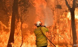 Sau cháy rừng, Australia sắp hứng chịu lũ lụt