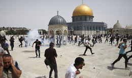 Hỗ trợ nhân đạo tại Dải Gaza khi Israel-Palestine bước sang ngày ngừng bắn thứ hai