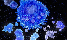 Cơn b&#227;o cytokine ở bệnh nh&#226;n COVID-19: Tocilizumab liệu c&#243; hiệu quả?