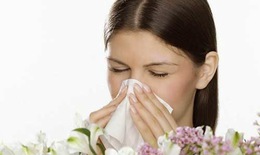 Dùng loratadin trị viêm mũi dị ứng: Những điều cần nhớ