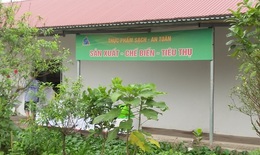 Kiểm nghiệm dư lượng thuốc BVTV của Chi cục QLCL nông lâm sản & thủy sản Hà Nội: Có sai lệch kết quả