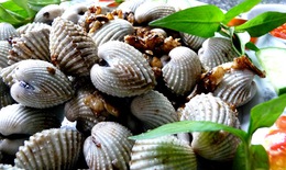 Sò huyết - món ăn tốt cho chuyện ấy