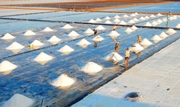 Nỗi mừng lo Cà Ná