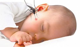Dấu hiệu nhận biết sớm sốt xuất huyết