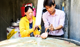 Phòng bệnh sốt xuất huyết: Cần chữa bệnh chủ quan